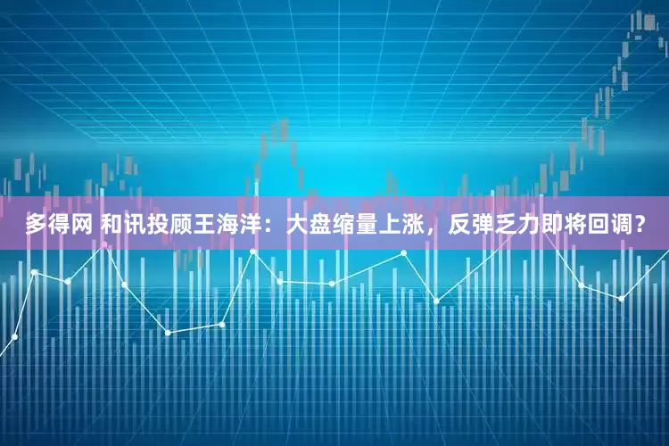 多得网 和讯投顾王海洋：大盘缩量上涨，反弹乏力即将回调？