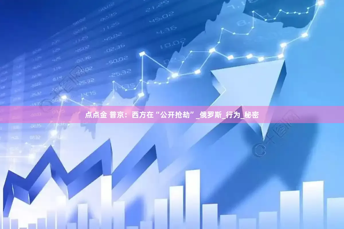点点金 普京：西方在“公开抢劫”_俄罗斯_行为_秘密