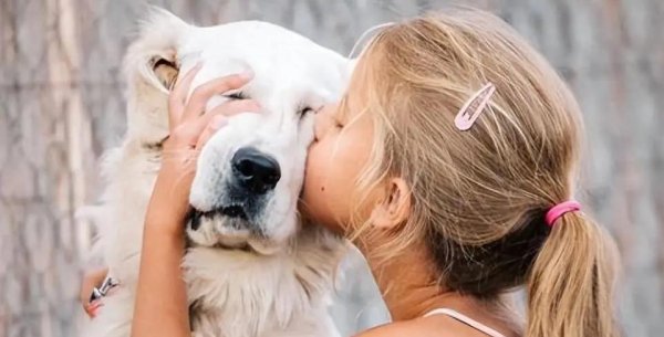 摩根策酪 你亲狗狗一口，它心里乐开了花，真相却出乎意料！