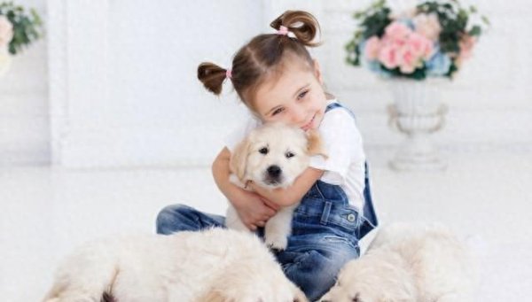 奇侠优配 宠物狗的不寻常归来：16年情感纽带，监控下的感人重逢